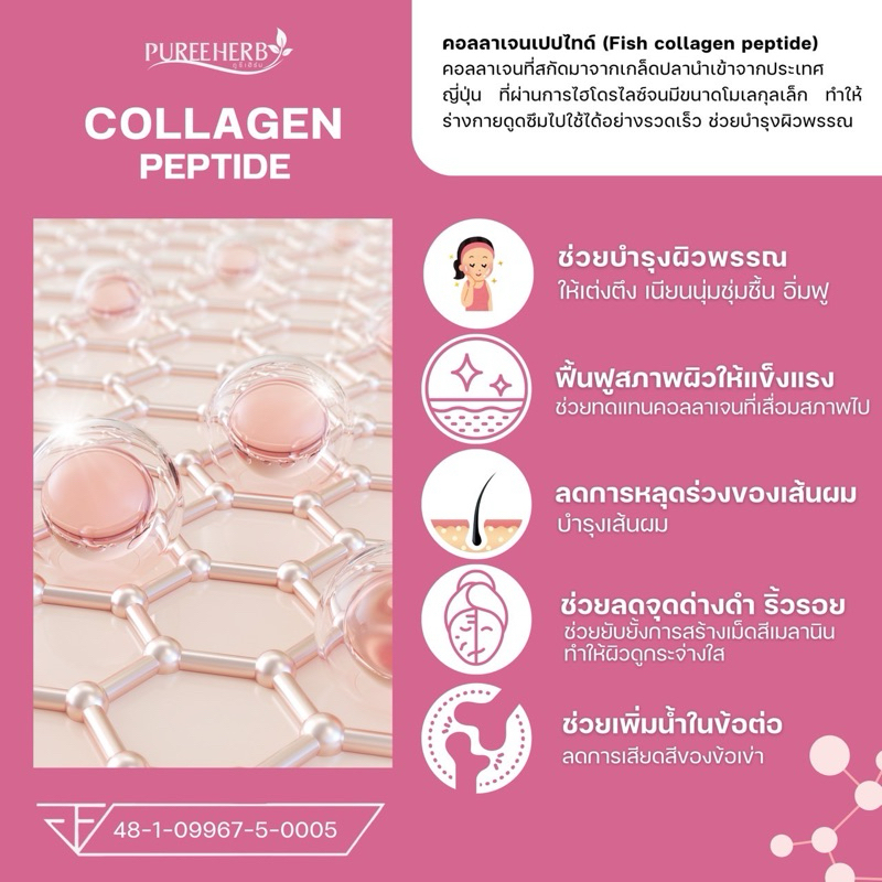 คู่หูลดสิว ผิวนุ่ม Zinc + Collagen Peptide  - ตราภูรีเฮิร์บ - รูปที่ 5