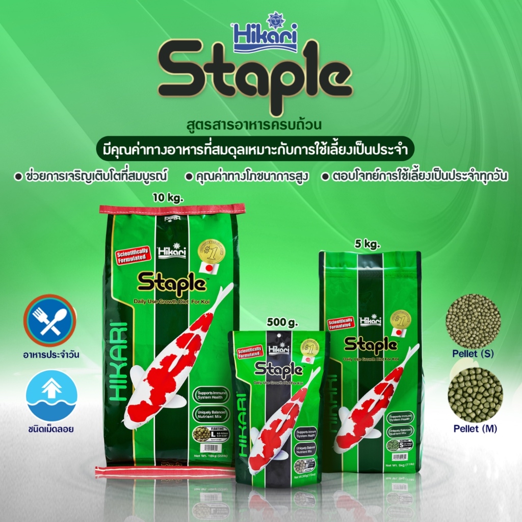Hikari Staple อาหารปลาคาร์ป สูตรโปรตีนมาตรฐาน คุณภาพสูง เม็ดลอย (S,M,L)