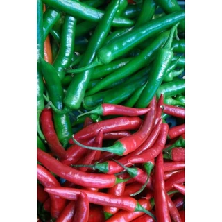 🌶️เมล็ดพริกแดงจินดา 30 เมล็ด (5แถม1คละได้)