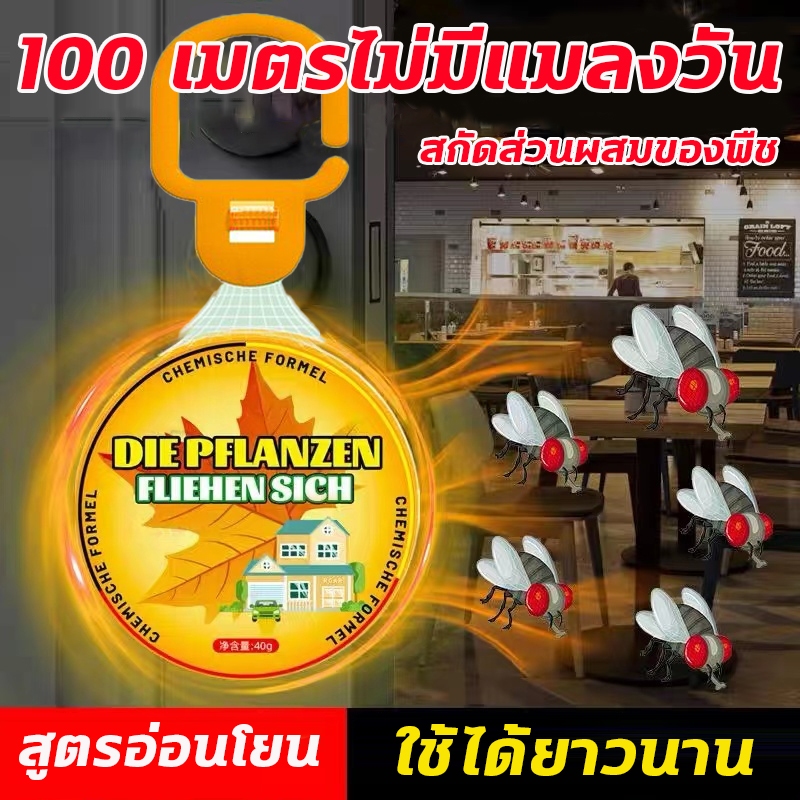 🦟แขวนไว้ไม่มีแมลงวัน🦟ML ไล่แมลงวัน กำจัดแมลงวัน แมลงหวี่ 40g เห็นผลเร็ว คงทน ใช้สะดวก แขวนได้ทุกที่ กลิ่นระเหยไปอย่างช้า