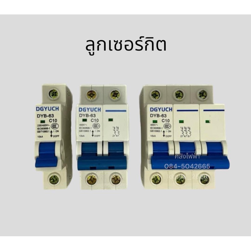 DZ47-63 ลูกเซอร์กิต เบรคเกอร์ ลูกย่อย