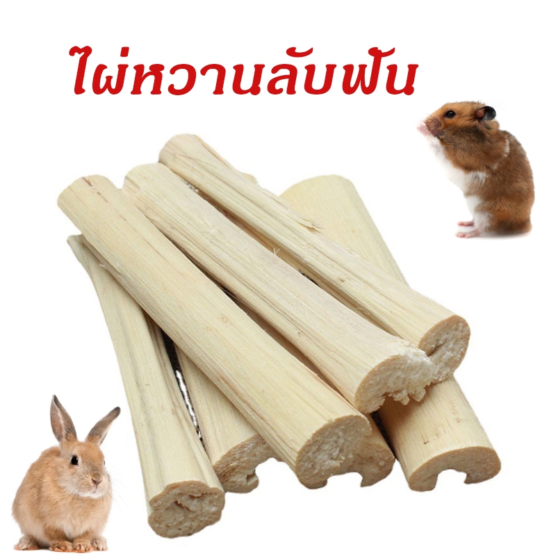 ไผ่หวาน ไผ่หวานลับฟัน ลับฟันกระต่าย สำหรับสัตว์ฟันแทะ สำหรับสัตว์ฟันแทะ กระต่าย ชูการ์ แฮมเตอร์ แพรี่ด็อก 510กรัม