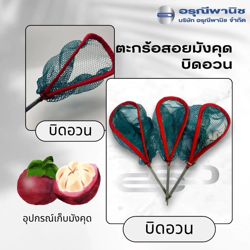 ตะกร้อเก็บมังคุด ตะกร้อสอยมังคุด บิดอวน