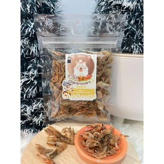 Chintrovert ✨| Freeze dried shrimp กุ้งฟรีสดราย | สำหรับชูการ์ แฮมเตอร์ แฟตเทล ดอร์เมาท์