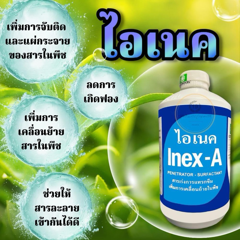 🌟ไอเนค Inex-A🌟สารเพิ่มประสิทธิภาพ จับใบ  ไอเนค สารเพิ่มประสิทธิภาพ