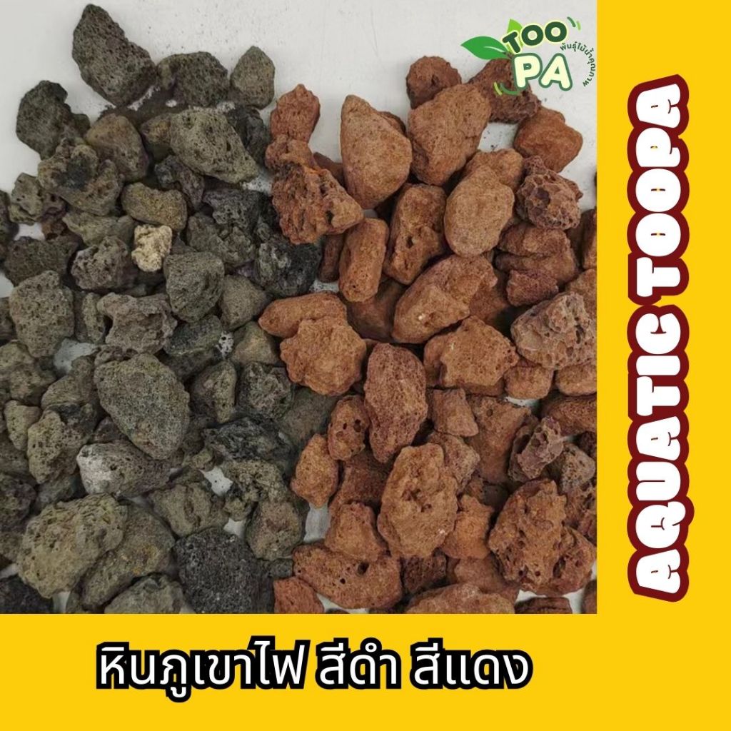 LAVA ROCK หินภูเขาไฟลาวา หินภูเขาไฟ ลาวาดำ ลาวาแดง มวลหนักใช้โรยหน้า ผสมดิน บรรจุ 1kg