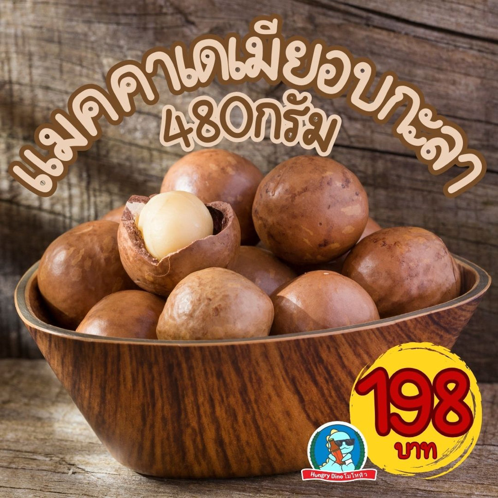 [เต็มเม็ด..เต็มหน่วย] แมคคาเดเมีย อบกะลา 480 กรัม Macadamia หอม อร่อย เต็มเม็ด ถั่วแมคคาเดเมีย