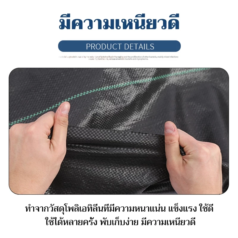พลาสติกคลุมวัชพืช ผ้าคลุมหญ้า thumbnail 8