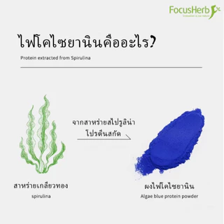 ผงสาหร่ายสไปรูลิน่าสีฟ้า 50g/200g ( Blue Spirulina Powder ) วัตถุดิบ 100%