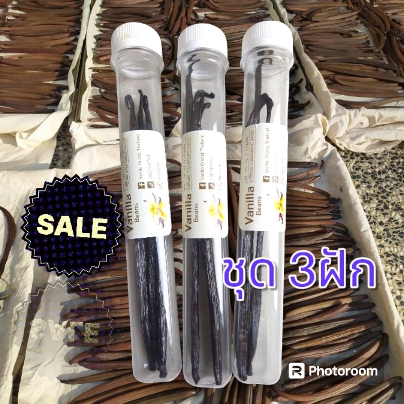 วานิลลา Planifolia สุดคุ้ม 3 ฝัก (เกรด A, 17-19cm.)