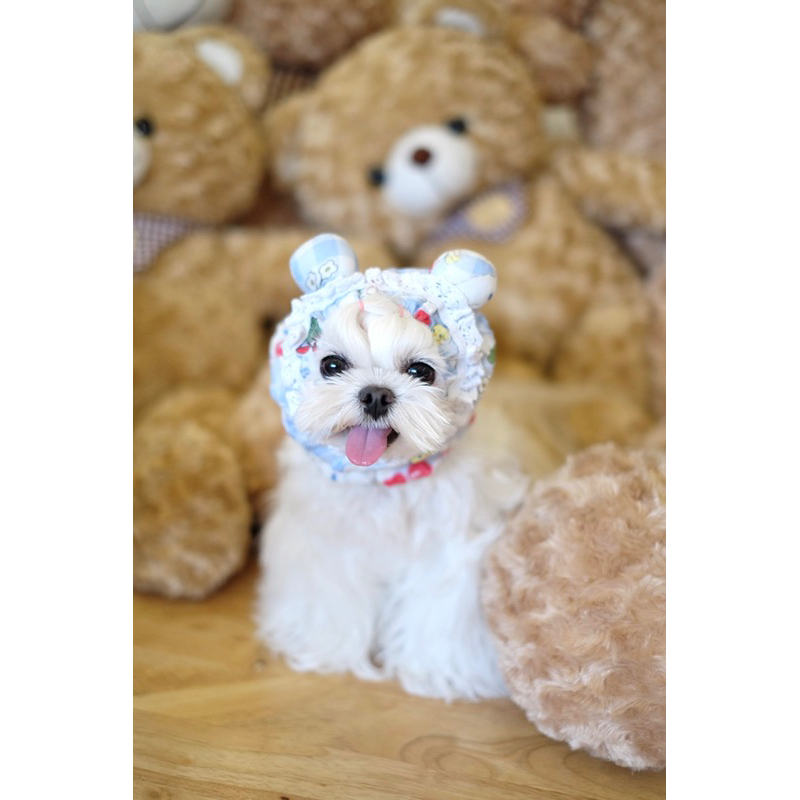 Furbabes หมวกกันเปื้อน น้อนหูหมี