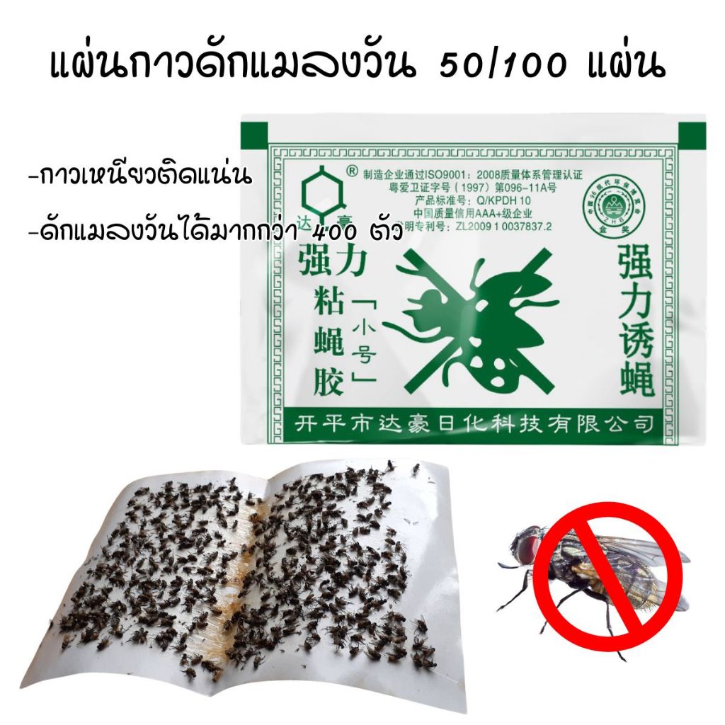 แผ่นกาวดักแมลงวัน แพ็ค 50/100/200 แผ่น กาวเหนียว ติดแน่น ลดปัญหาแมลงวัน สินค้าพร้อมส่งในประเทศไทย