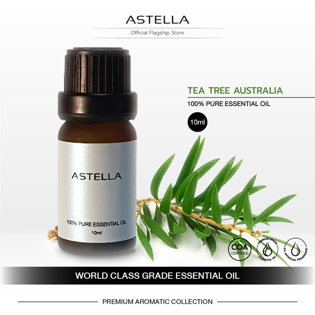 ASTELLA Essential Oil - Tea Tree Australia | แอสเทลลา น้ำมันหอมระเหย ที ทรี ออสเตรเลีย