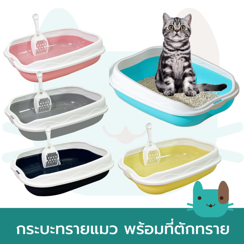 กระบะทรายแมว กระบะทราย ฟรี!! ที่ตักทราย ห้องน้ำแมว Cat Litter Box