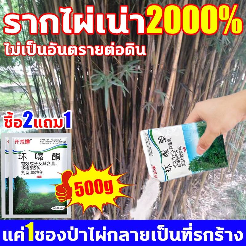 โรยเล็กน้อยก็ตาย ยาฆ่าไผ่ รากต้นไม้เน่า2000% ผงฆ่ากอไผ่สามารถใช้ในฤดูฝนได้ ยาฆ่าต้นไม้ใหญ่ กำจัดต้นไม้และไผ่ให้หมดจด