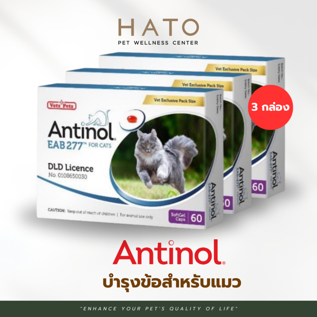 Antinol Cat แอนทินอล อาหารเสริมไขมัน บำรุงข้อ สำหรับแมว 3 กล่อง (180 เม็ด) Vetz Petz