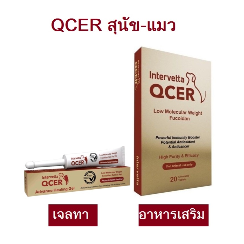 QCER คิวเซอร์ สำหรับสุนัข-แมว มะเร็ง เนื้องอก  [หมดอายุปี 2026]