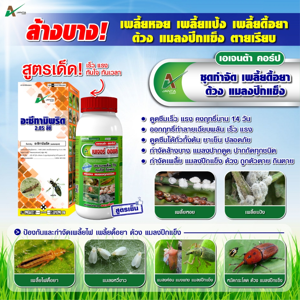 ชุดล้างเพลี้ย อะซิทามิพริด เนเจอร์ออย เอเจนต้า คอร์ป เพลี้ยหอย เพลี้ยแป้ง แมลงหวี่ขาว เพลี้ยไฟ ไร คุมไข่หนอน (ชุด1 ลิตร)