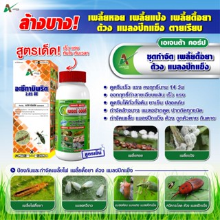 ชุดล้างเพลี้ย อะซิทามิพริด เนเจอร์ออย เอเจนต้า คอร์ป เพลี้ยห…