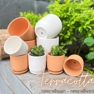 กระถางดินเผา กระถางมินิมอล กระถางดินขาวเนื้อเนียน ระบายน้ำดี…