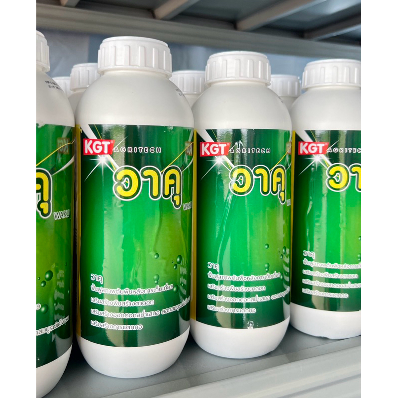 KGT วาคุ สาหร่ายและกรดอะมิโนสกัดเข้มข้น พื้นฟูสภาพต้น สร้างตาดอก ทำใบ เสริมอะมิโน