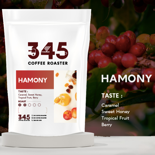 เมล็ดกาแฟคั่ว HARMONY