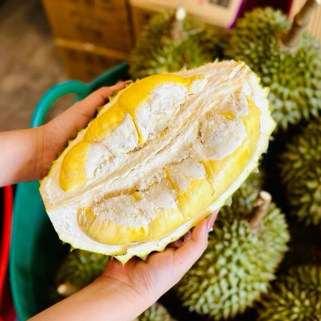ทุเรียน ชะนีไข่ ทุเรียนจันทบุรี เนื้อเหนียวหวานมันอร่อย 💯จัดส่งทั้งลูก มีส่งด่วนพร้อมทาน