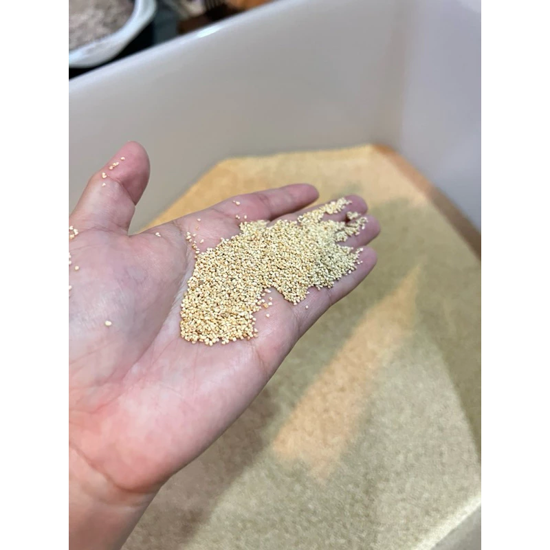 ซังข้าวโพดเม็ดเล็กพรีเมียมไร้ฝุ่น 1.5กิโลกรัม เม็ดกลมสวย [ปิดชื่อรายการสินค้าทุกออเดอร์] thumbnail 8