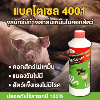 Bactocel 4001 300cc* จุลิทรีย์กำจัดกลิ่นเหม็นคอกสัตว์ แบคโตเซล ลดแมลงวัน กำจัดกลิ่นมูลสัตว์ ลดกลิ่น