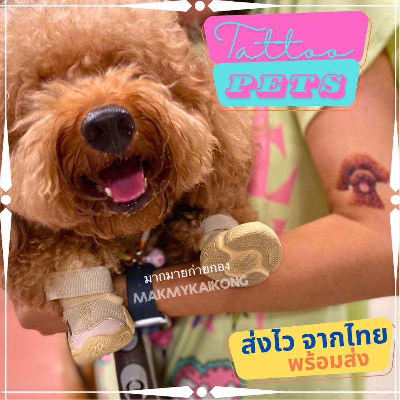 *พร้อมส่ง* แทททู สัตว์เลี้ยง แทททูมินิมอล แทททูกันน้ำ tattoo แทททูรูปสัตว์ ติดแน่น