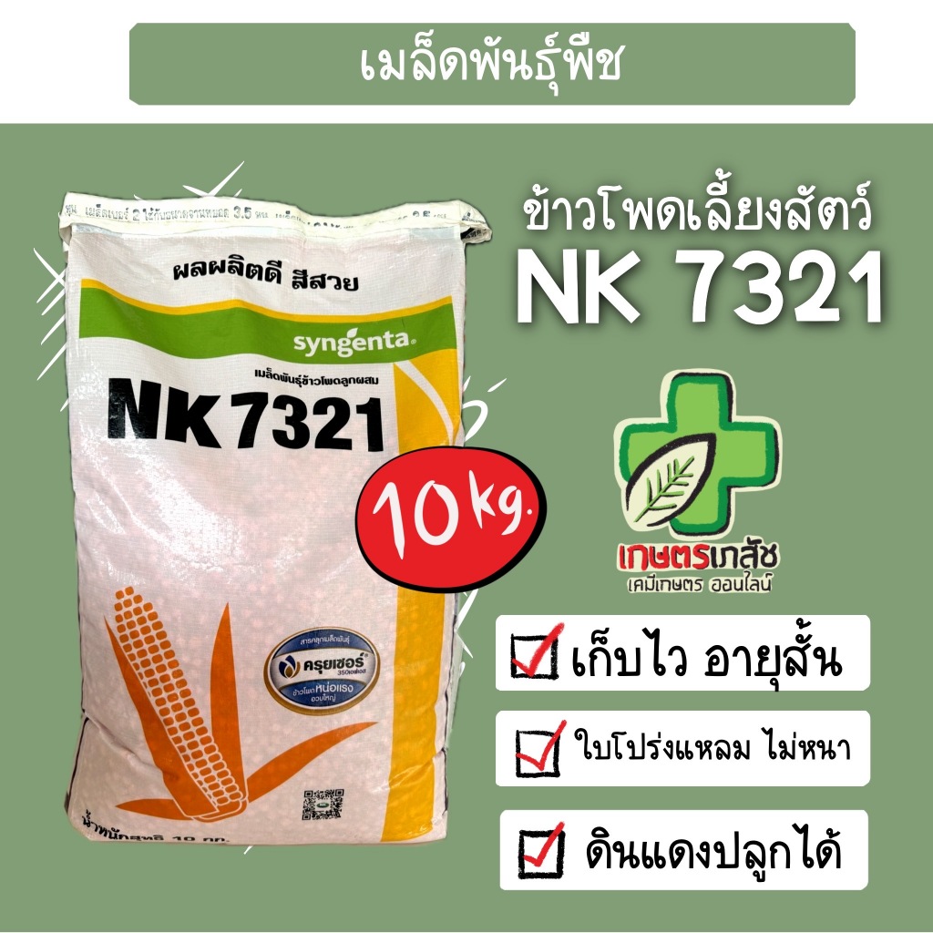 ข้าวโพดเลี้ยงสัตว์ NK7321 10กิโล