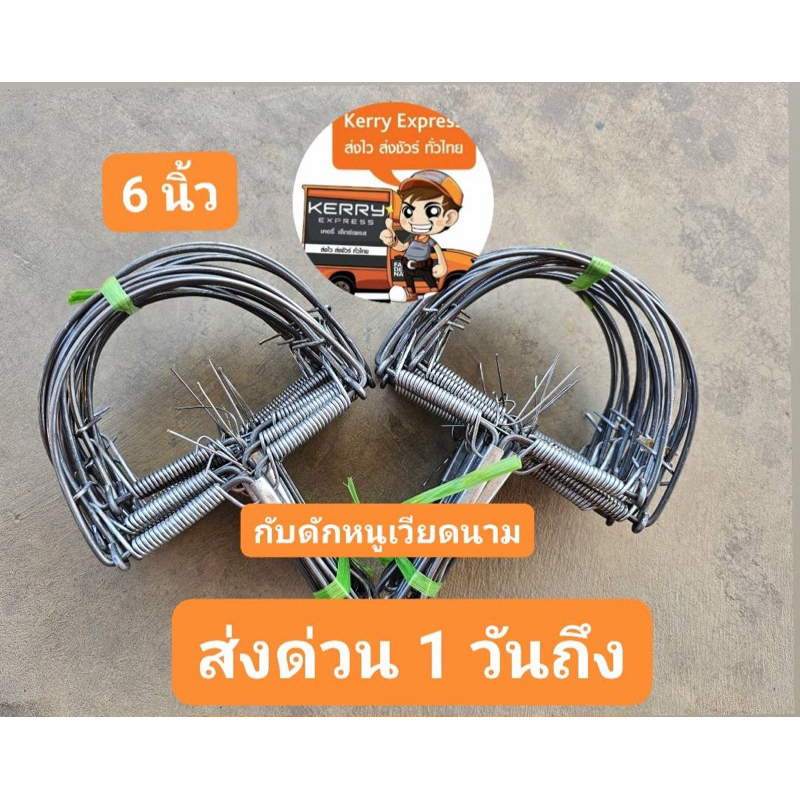 กับดักหนู กับตีหนู ขนาด6นิ้ว 1มัด ได้10ชิ้น