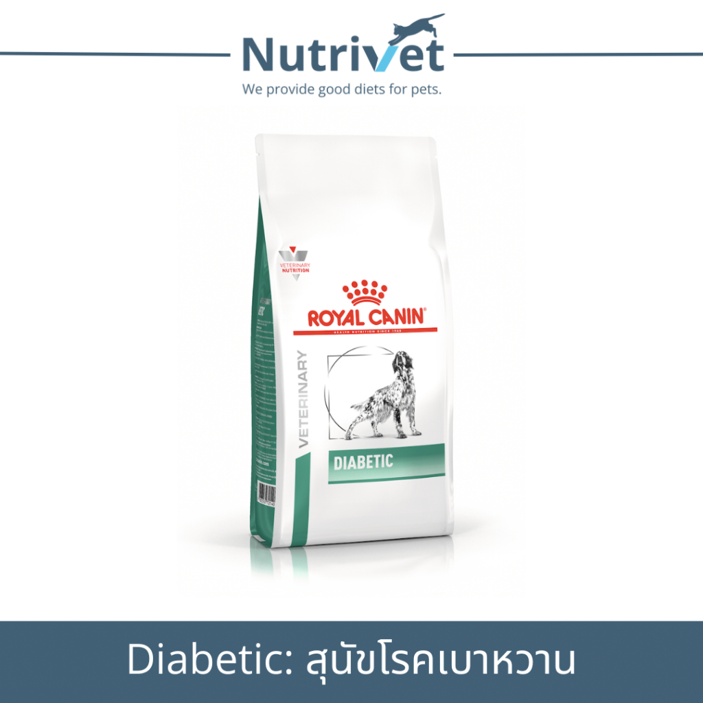 (EXP.10/02/25)Royal Canin Diabetic 12 kg อาหารสุนัขโรคเบาหวาน