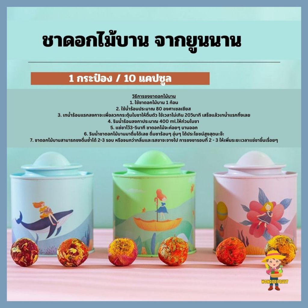 ชาดอกไม้บาน ชาผู่เอ๋อร์ ชาจีน ดูแลสุขภาพ 1 กระปุก 10 ก้อน ชาสมุนไพร