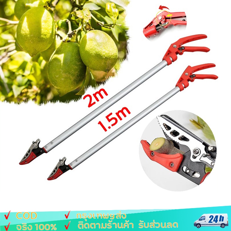 กรรไกรตัดผลไม้ 2เมตร ใช้สำหรับตัดกิ่งไม้สูง จับผลไม้(กรรไกรตัดกิ่ง กรรไกรตัดกิ่งไม้ด้ามยาว กรรไกรตัดกิ่งไม้สูง )