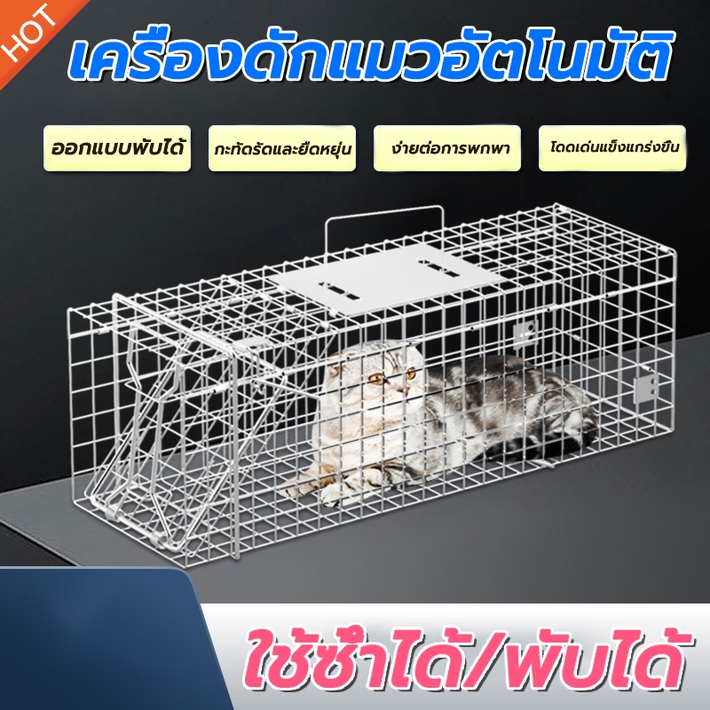 กรงดักแมว CatTrap ไซส์ XL เหล็กชุบกาวาไนซ์ พับได้ ดักจับแมวปลอดภัย