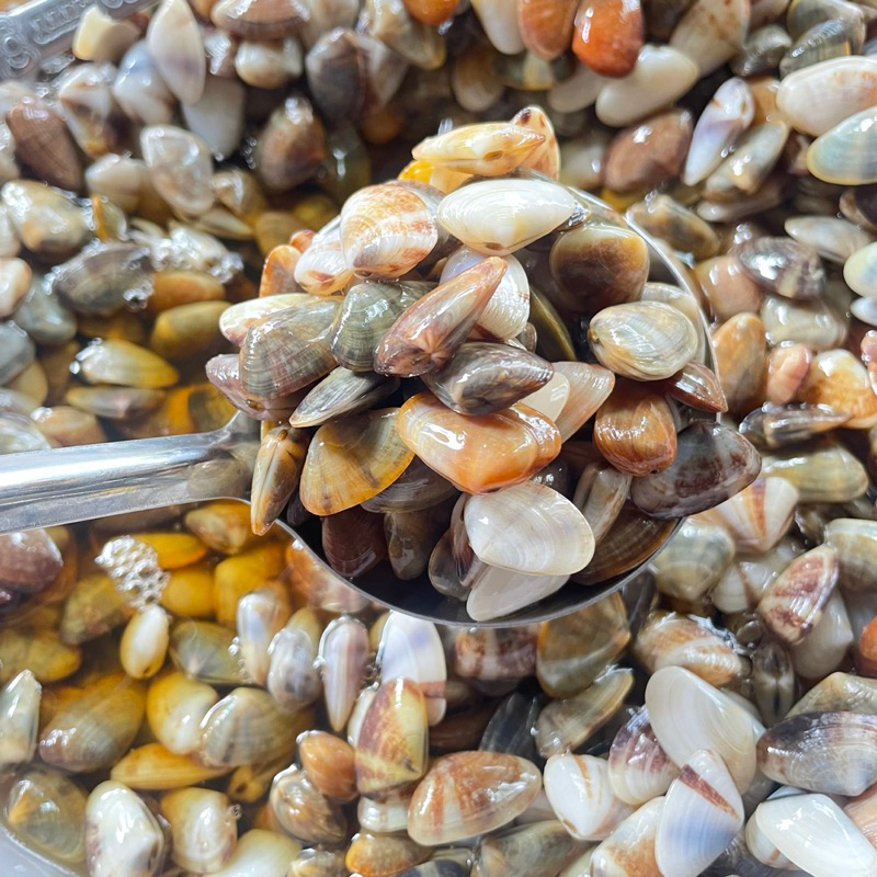 หอยเสียบดองน้ำปลา น้ำหนัก500กรัม