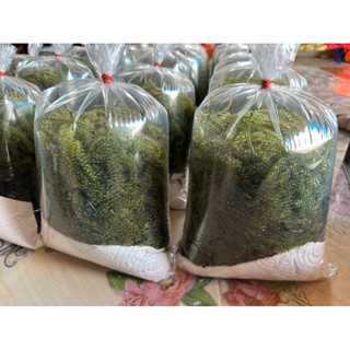 สินค้าแนะนำ  สาหร่ายพวงองุ่น 2 กิโลกรัม