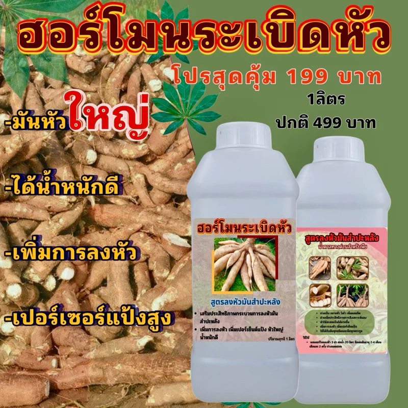 ฮอร์โมนเร่งหัวมันสําปะหลัง ซื้อ 1 ลิตร ฟรี 1 ลิตร