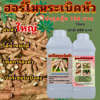 ฮอร์โมนเร่งหัวมันสําปะหลัง ซื้อ 1 ลิตร ฟรี 1 ลิตร