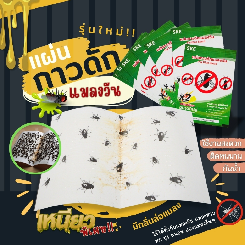 ราคาถูกสุด!! กาวดักแมลงวัน ของแท้ 100% มีสต็อกในไทย กาว ดักแมลง