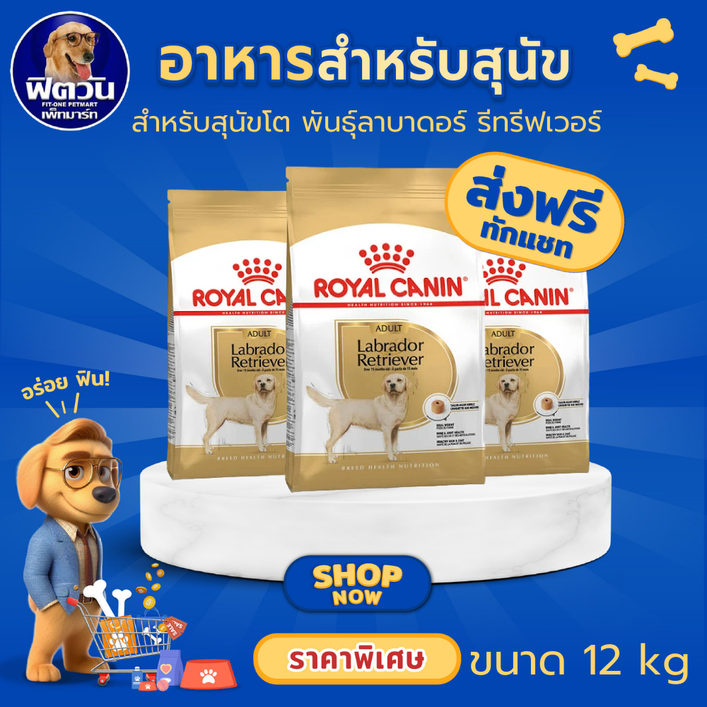 ROYAL CANIN Labrador Retriever Adult อาหารเม็ดสำหรับสุนัขโตพันธุ์ลาบราดอร์รีทรีฟเวอร์ ขนาด 12 กิโลกรัม{อาหารสุนัขเม็ด}