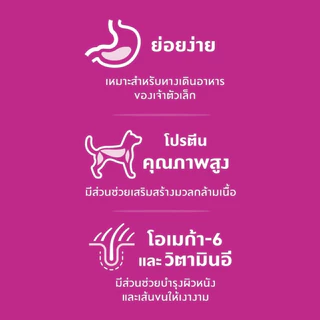 Hill's Science Diet Light Small & Mini Paws อาหารสุนัข สุนัขโต ไขมันต่ำ ลดน้ำหนัก ทำหมัน พันธุ์เล็ก 1.5 kg