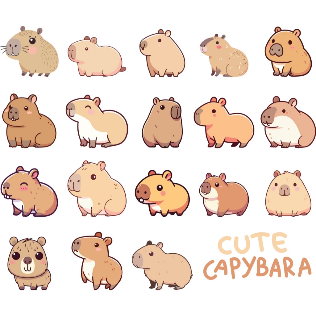 ตัวรีดติดเสื้อ CYPYBALA (FP) 02 รีดติดง่ายทุกเนื้อผ้า DIY Patches