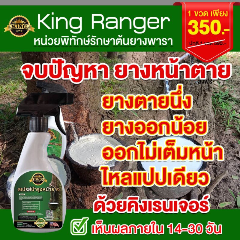 สเปรย์บำรุงยางพาราตราคิงเรนเจอร์