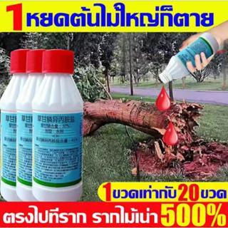 💥1หยดรากเน่า💥ยาฆ่าตอต้นไม้ ยาฆ่าต้นไม้ใหญ่ ยาฆ่าต้นไม้ ยาฆ่า…