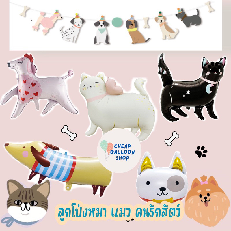 รวมมิตร ลูกโป่ง หมา แมว คนรักสัตว์ ลูกโป่งฟอยล์ สุนัข 🐶🐱