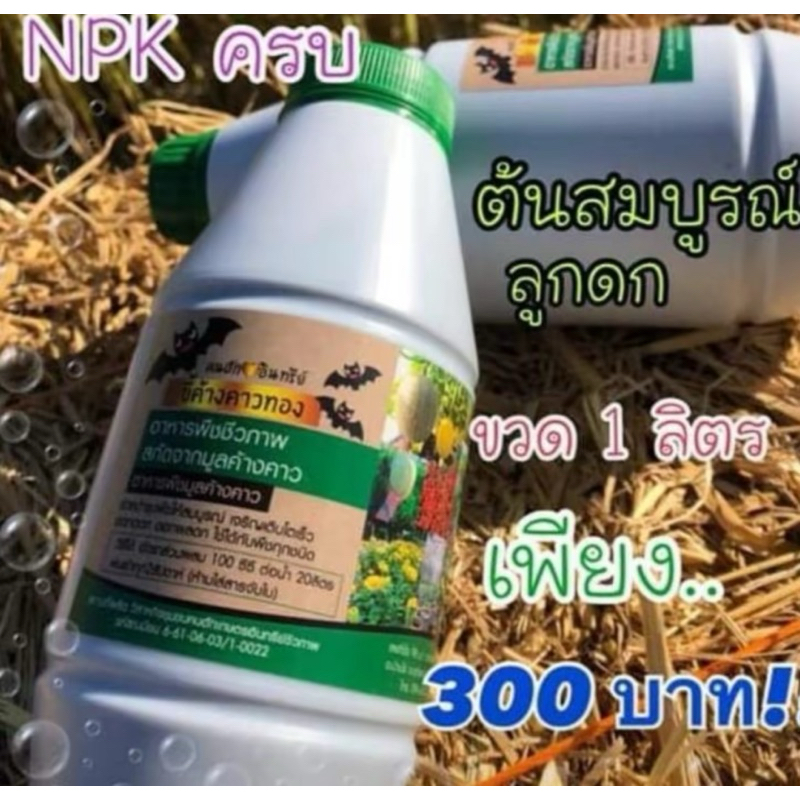 ขี้ค้างคาวทอง สูตรเร่งดอก ดก ผลผลิตสูง มูลค้างคาวแท้