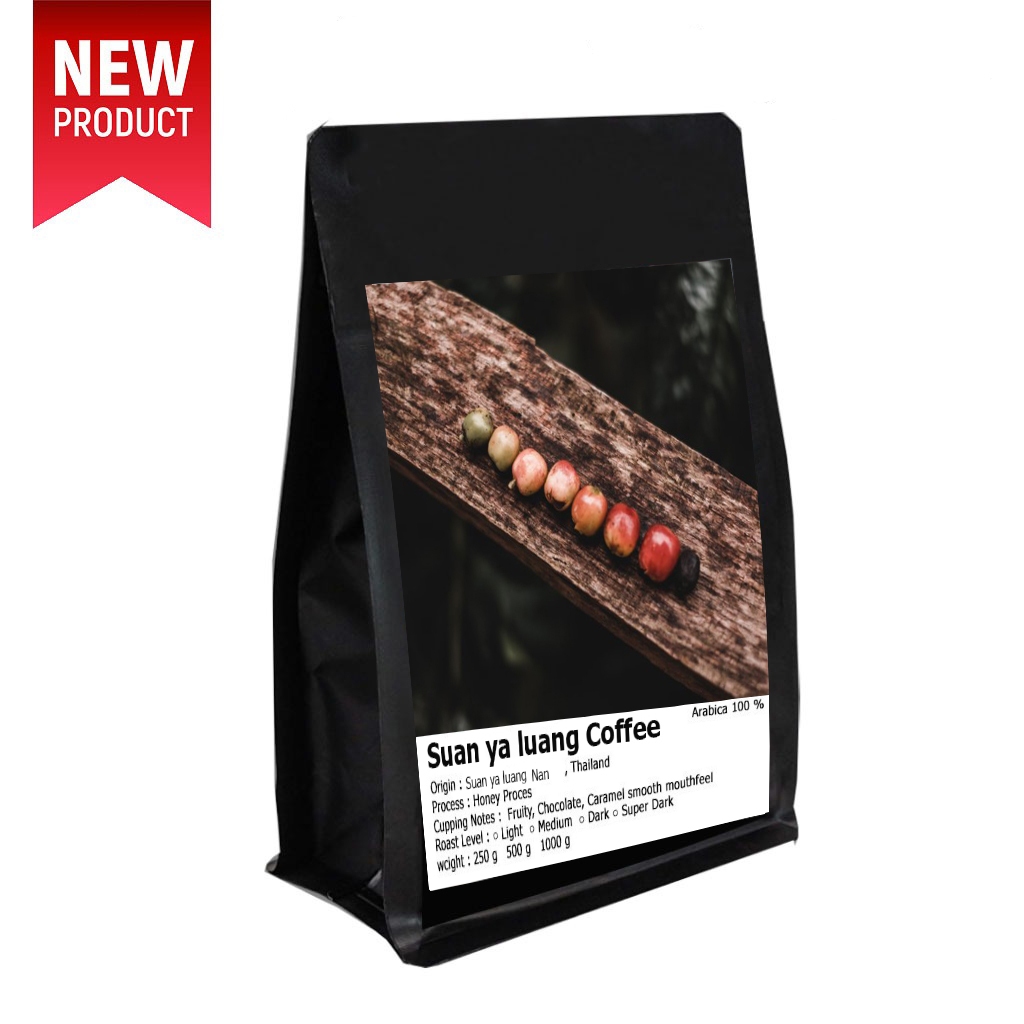 เมล็ดกาแฟน่านสวนยาหลวง Nan Suan Ya Luang Arabica100% เกรด A Wased Process กาเเฟเรียงเป็นเเถว