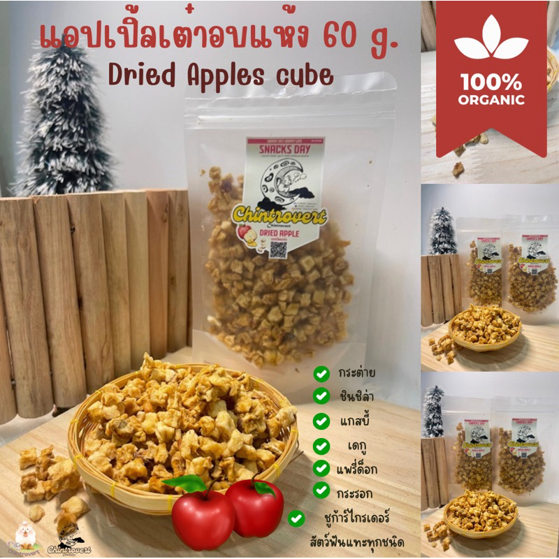 Chintrovert ✨ || แอปเปิ้ลเต๋าอบแห้ง Dried Apples 60g. || ขนมกระต่าย ชินชิล่า สัตว์ฟันแทะทุกชนิด